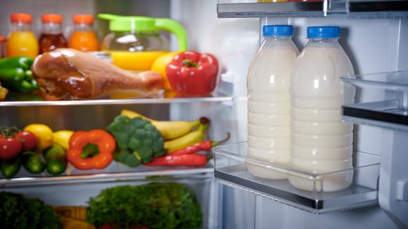 Pequenas mudanças na organização da geladeira evitam desperdício de alimentos perecíveis. (Foto: Shutterstock)