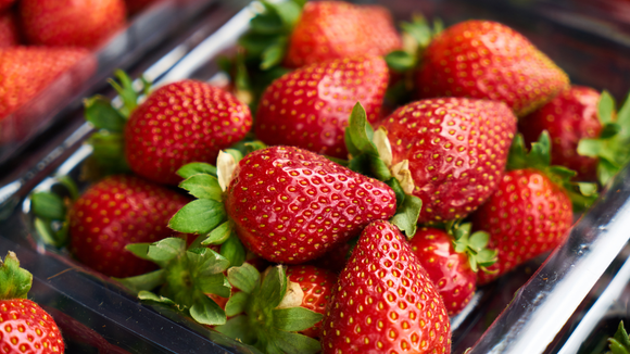 Nem leite condensado, nem iogurte: esse é o ingrediente que poucos sabem que realça o sabor do morango