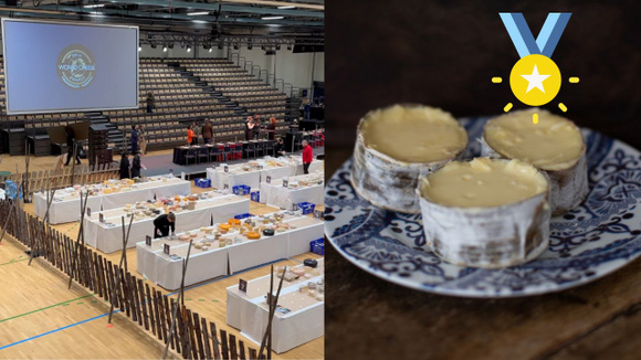 Único queijo brasileiro com “superouro” no World Cheese Awards é de Santa Catarina e não tem lactose