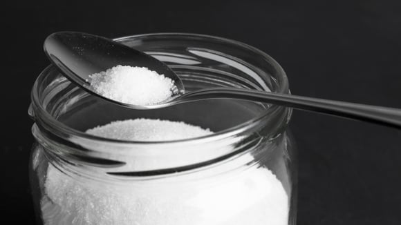Retirar as formigas que estavam na parte de cima não resolve a situação (Créditos: Magnific)