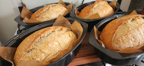 Esse pão de 4 ingredientes é o mais fácil e barato que eu já fiz: não precisa sovar e tem essa casquinha crocante