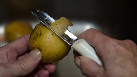 As cascas podem ajudar a enriquecer o solo e fornecer nutrientes às plantas. (Créditos: Canva)