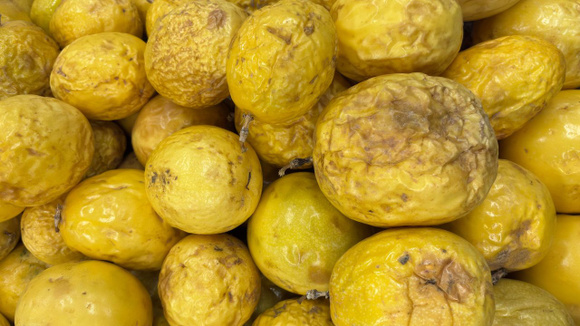 Uma fruta que deve ser consumida murcha: com baixo teor de açúcar, rica em fibras e apelidada de Rainha dos Sucos de Frutas