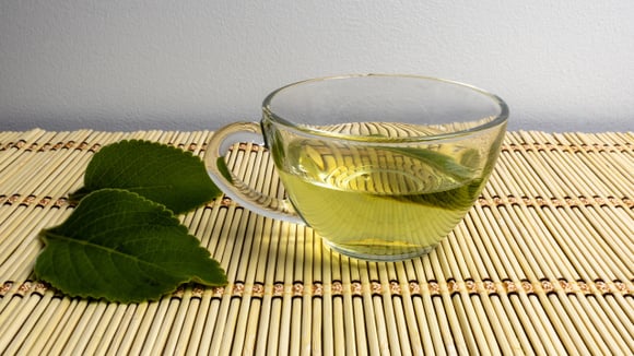 Essa planta se adapta bem em vasos e não precisa de muitos cuidados (Créditos: Shutterstock)