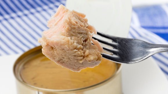 Faça a melhor escolha na hora de comprar atum. (Créditos: Canva)