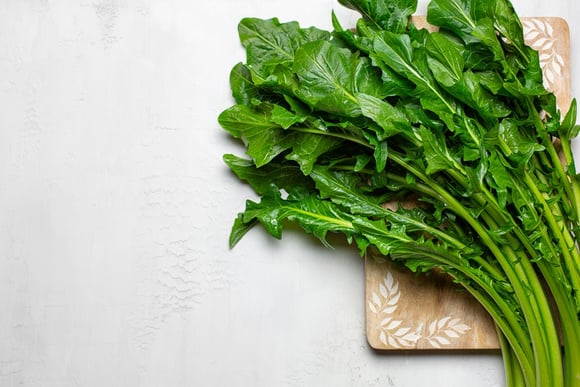 "É época de chicória": especialista gastronômico revela sua receita favorita para saborear o vegetal