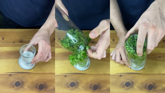 O truque para conservar salsinha está na água (Créditos: reprodução Instagram @zen.m.cook)