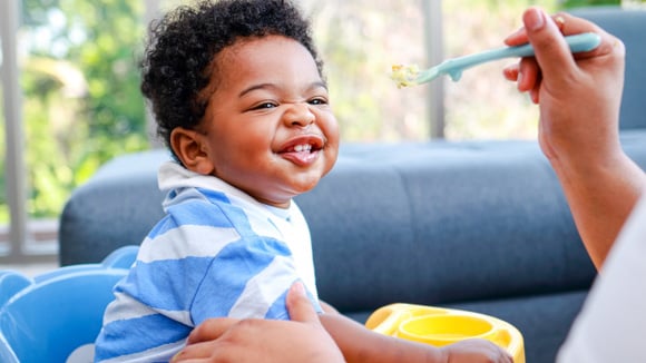 Todos em casa rasparam o prato depois de comer essas 3 receitas de almoço que fiz para o meu bebê