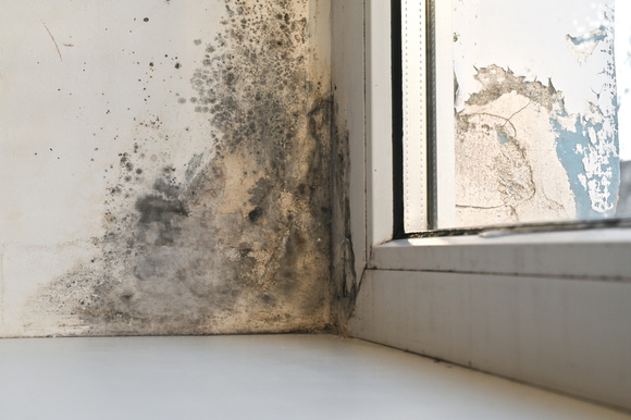 Antes de pintar novamente, vale a pena identificar a origem da umidade. (créditos: Shutterstock)