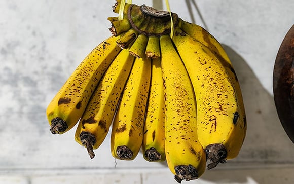 É desse jeito que você deve armazenar as bananas se quiser consumi-las durante o mês e não desperdiçar