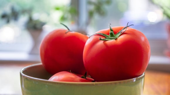 Tem muitos tomates maduros? Veja 3 formas de aproveitá-los antes que estraguem