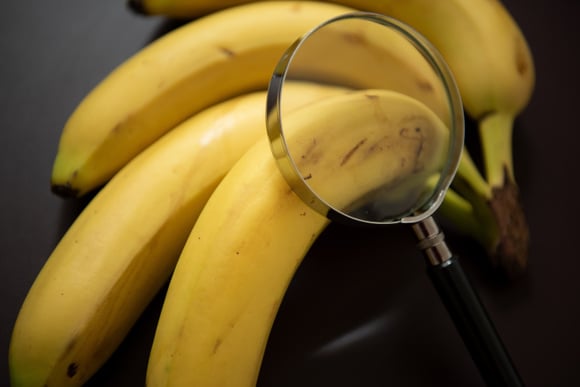 O que ninguém te contou sobre as bananas: segredo é revelado por biólogo
