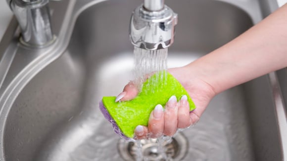 Higienizar objetos esquecidos da cozinha ajuda a manter o preparo dos alimentos mais seguro (Foto: Shutterstock)