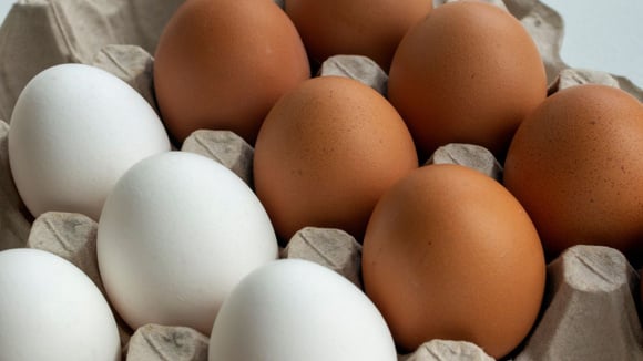 Ovos marrons ou ovos brancos: eis a origem da diferença de cor e por que seus preços variam