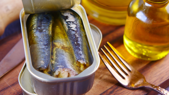 Peixe enlatado é mais nutritivo que peixe fresco? TudoGostoso revela 5 opções que especialistas recomendam