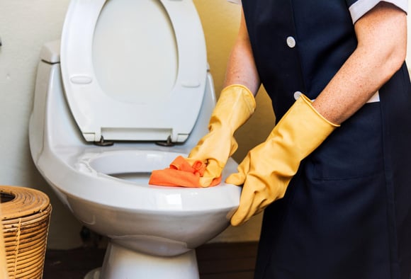 Os problemas de usar alvejante para limpar o vaso sanitário e descubra alternativas simples e econômicas para obter uma limpeza eficaz