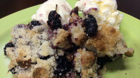Veja como fazer um crumble de amora delicioso para servir de sobremesa no fim de semana com a família (Créditos: TudoGostoso)