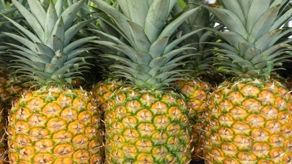 Os sentidos são os melhores aliados na hora de comprar frutas (Foto: Shutterstock)