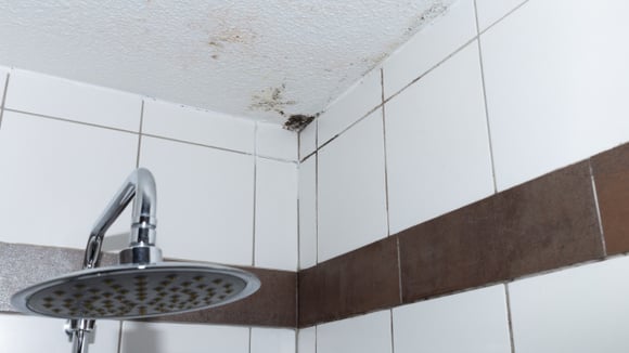 Cansado do mofo do teto do banheiro? Essa é a técnica de ventilação que ajuda a evitar o problema de um jeito simples