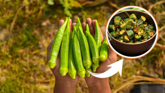 Da horta direto para a cozinha: plantar quiabo em casa é mais fácil do que você pensa!