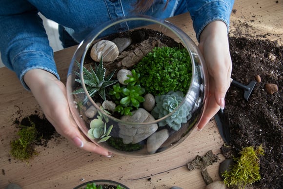 Deixe sua casa muito mais linda com esse mini jardim no vidro, é fácil de fazer e muito barato!