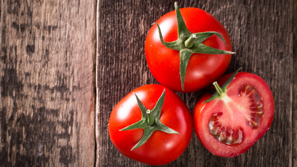 Mofo, cheiro azedo e superfície viscosa são sinais de alerta no tomate. (créditos: Shutterstock)