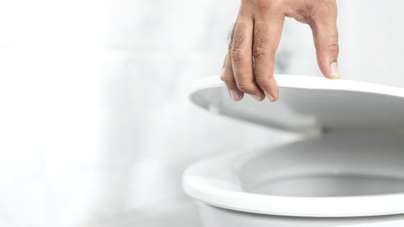 Fechar tampa de vaso sanitário (Créditos: Shutterstock)