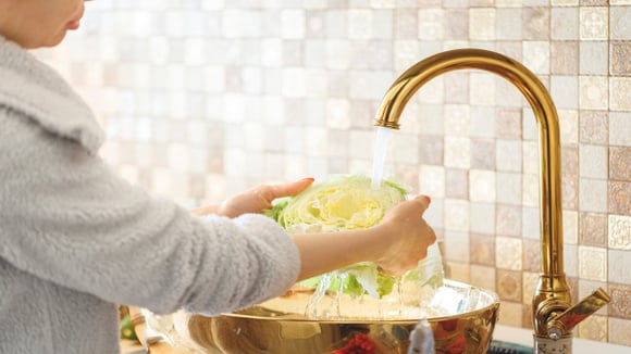 Um pequeno ajuste na higienização deixa o preparo muito mais eficiente. (Foto: Shutterstock)
