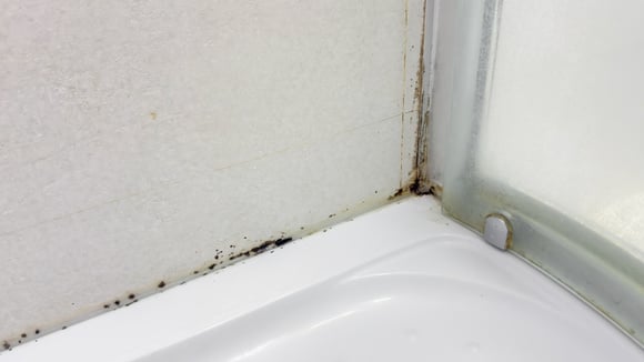Sem esfregar: o método do papel higiênico para remover mofo do banheiro
