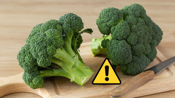 Brócolis e botulismo: como identificar e evitar o problema que assustou a todos após 2 mortes ligadas ao consumo do vegetal