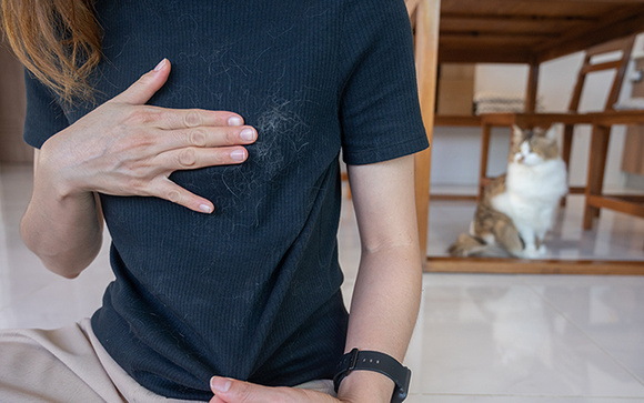 Disse adeus aos pelos nas roupas depois que aprendi esse truque: basta colocar na máquina na hora de lavar