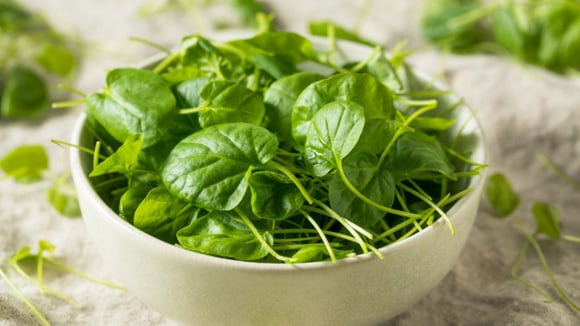 Adeus agrião amargo: essa é a melhor forma de tirar o sabor indesejado por muitos dessa verdura que todo mundo deveria comer