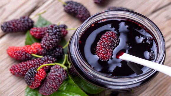 O segredo para a geleia de amora perfeita SEM AÇÚCAR: receitinha da minha vovó