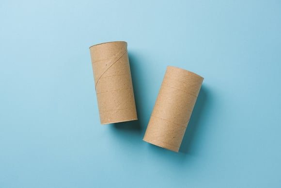 Se você tem rolos de papel higiênico vazios, não os jogue fora, você tem um tesouro em casa