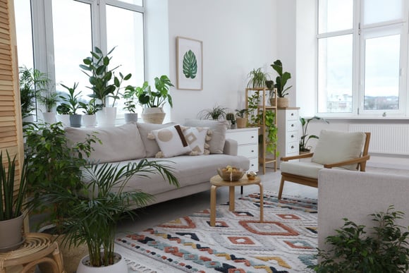 Planta é felicidade e purifica o ambiente, certo? Só se não forem essas daqui que sugam energia e podem até te deixar triste ou melancólico