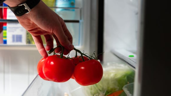 Apesar de aumentar a durabilidade, o frio da geladeira pode comprometer o sabor e a textura dos tomates (Créditos: Shutterstock)