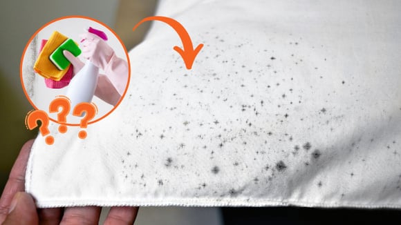 É o fim do mofo! Junte esses dois ingredientes que você tem em casa e faça um antimofo eficaz para deixar no armário