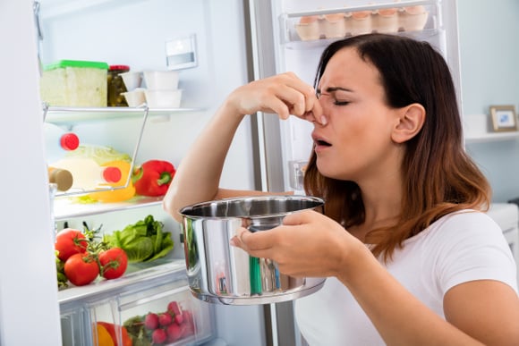 Cheirar a comida para saber se está estragada funciona mesmo? Ciência diz que não! Descubra agora como identificar!