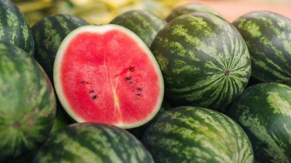 Guia prático do TudoGostoso para escolher a melancia mais doce do mercado: o segredo está nestes detalhes