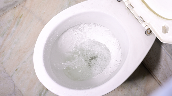 Por que você não deve dar descarga mais uma vez quando o vaso sanitário estiver enchendo? O TudoGostoso tem a resposta!
