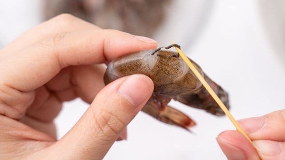 Afinal, pode ou não pode comer as linhas escuras que tem no camarão? TudoGostoso revela a resposta e você vai se surpreender!