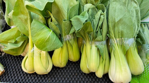 Para maiores de 60 anos: o vegetal recomendado, rico em cálcio e vitamina K