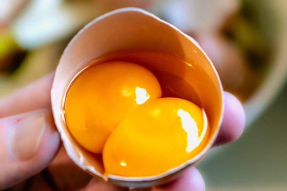 Por que a gema do ovo às vezes é amarela e às vezes laranja? Descubra no TudoGostoso!