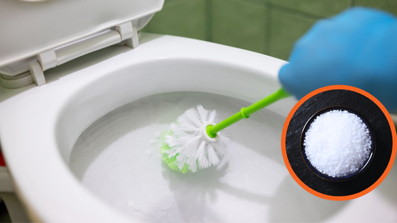 Pouca gente sabe: é para isso que serve colocar sal grosso no vaso sanitário
