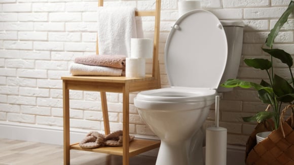 Veja por que você deve fechar a tampa do vaso sanitário antes de dar descarga, especialmente se o banheiro for compartilhado com outras pessoas