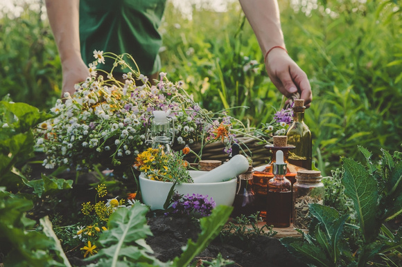 Plante no inverno, floresça na primavera: 8 plantas para quem quer ter flores no jardim o ano todo