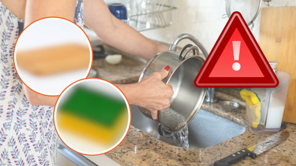 Esses 7 objetos de cozinha são os maiores acumuladores de fungos e bactérias que podem agredir a saúde