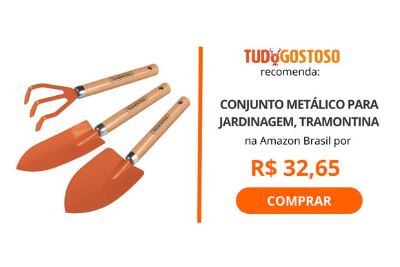 Horta em casa: Veja 5 itens para ter uma horta interna e cultivar seus próprios temperos