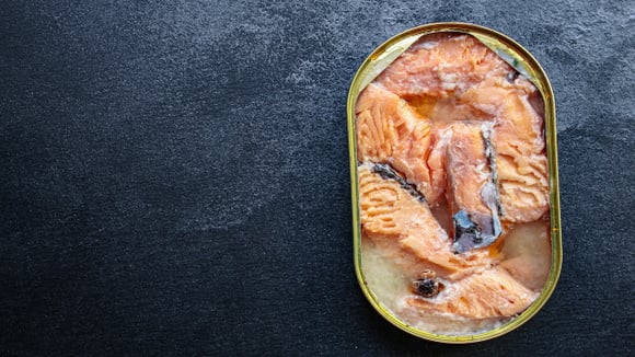 Lata de salmão vencida há 50 anos é aberta e o que descobriram deixou cientistas impressionados: É um sinal de que o peixe vem de um ecossistema saudável