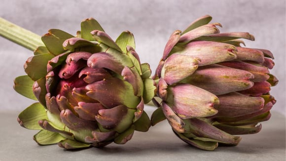 Como fazer alcachofra e aproveitar os incríveis benefícios que essa flor deliciosa oferece